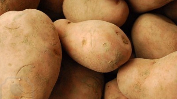 Πώς συντηρούνται οι πατάτες περισσότερο